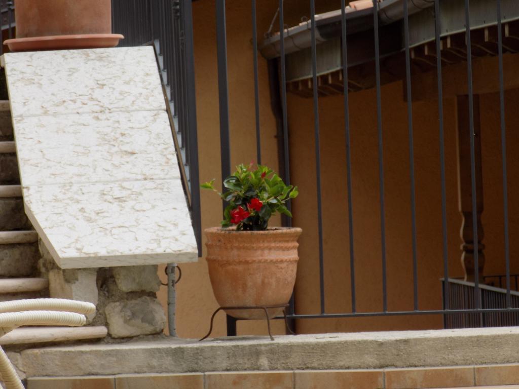 Villa Seriola Limone sul Garda Exteriér fotografie